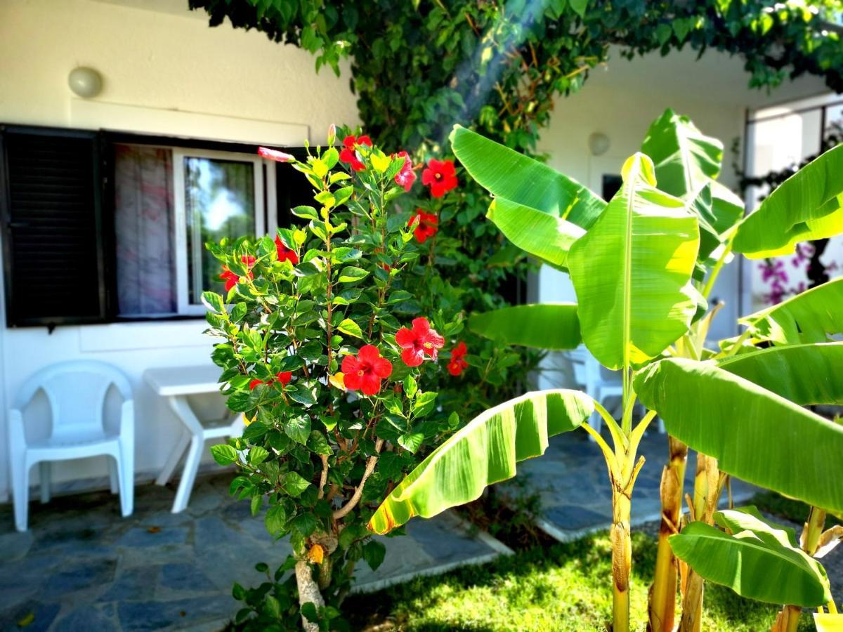 Aparthotel Ilios And Irene Mastichari  Exterior foto
